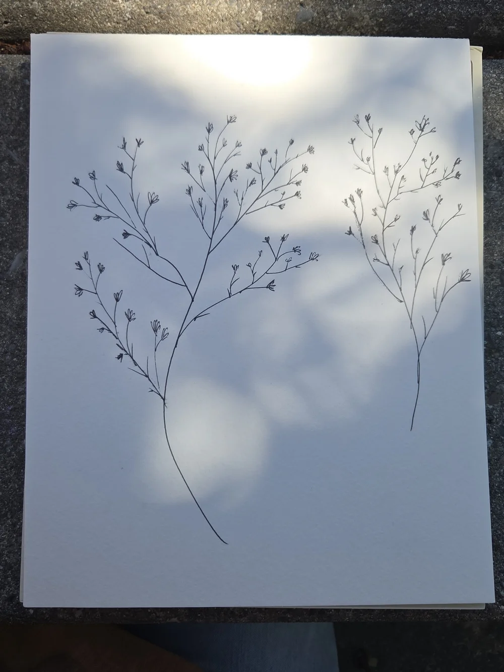 Hand Drawn Modern Farmhouse Artwork  Rustic B/W Wall Decor Print Lay Flat Piece
